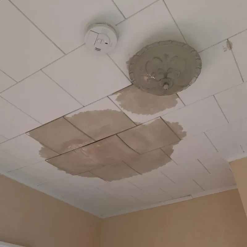 Ceiling Water Damage Repair in Grand Forks Air Force Base, ND
