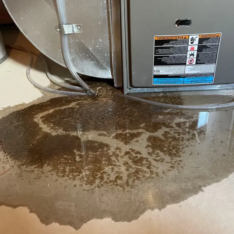 Pipe Burst and Leak Restoration in Grand Forks Air Force Base, ND